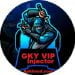 GKY VIP Injector